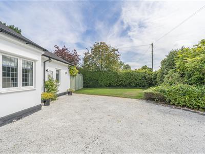 Picture 43